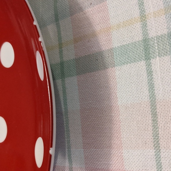 Pottery Barn Picnic Pattern Chloe Red White Polka Dot Plates Salad Ladybug - Picture 4 of 5